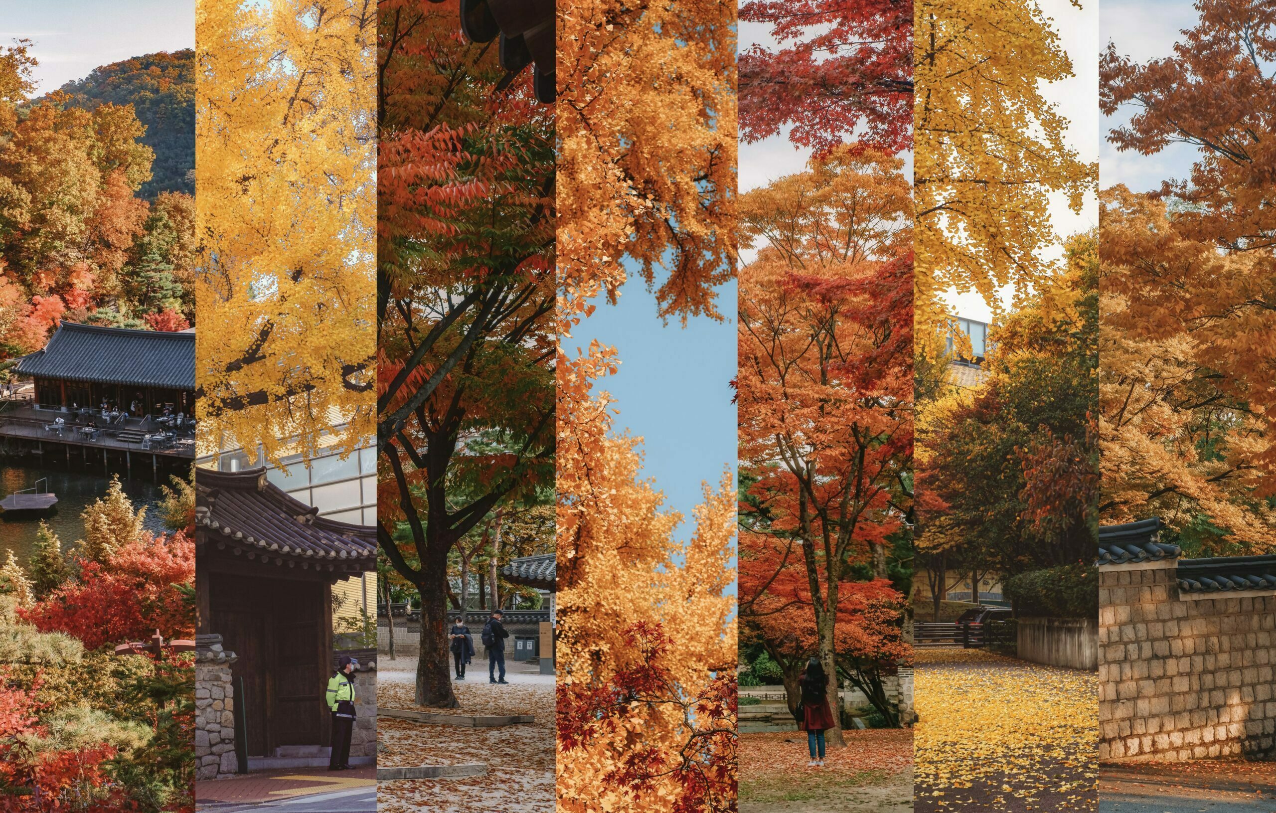 14 BEST SPOTS TO SEE AUTUMN FOLIAGE IN AND AROUND SEOUL + MAP