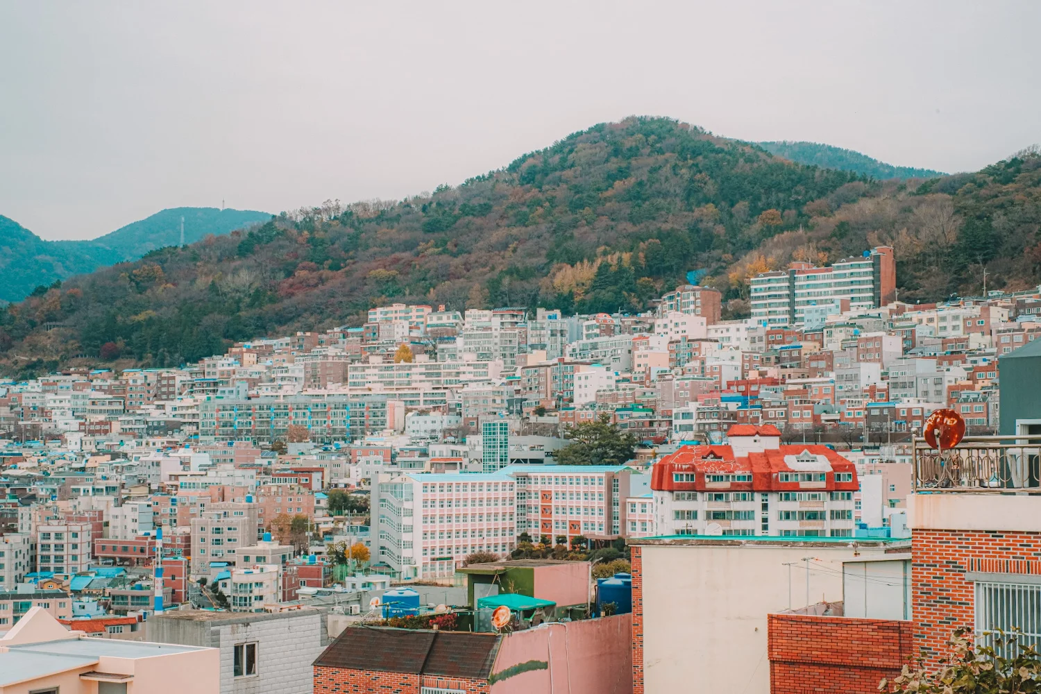 Learning to make Hanji at Busan's Dakbatgol Village :  : The  official website of the Republic of Korea