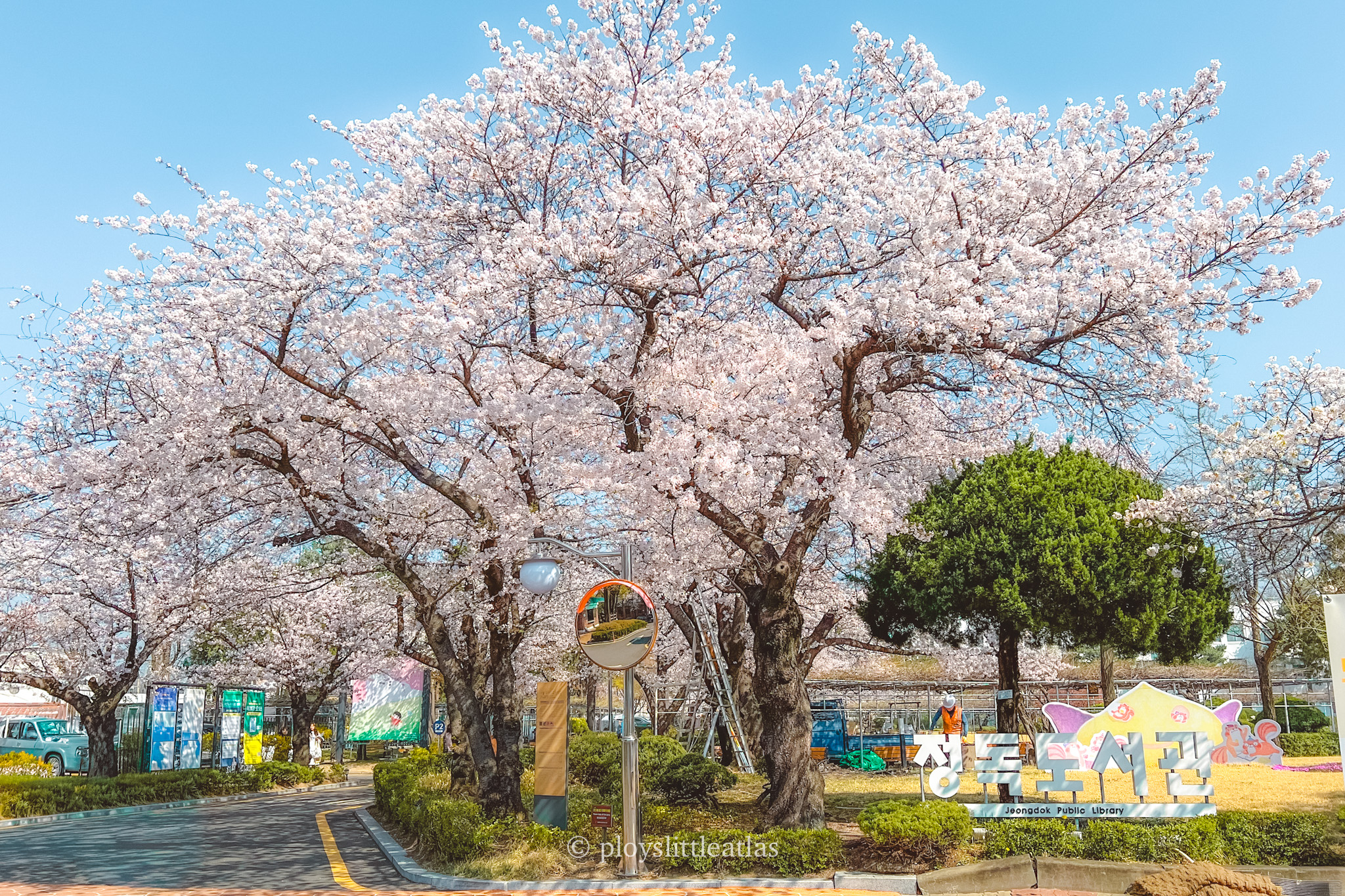 Your Guide to Cherry Blossoms, Concerts, and Cozy Bean Bags at